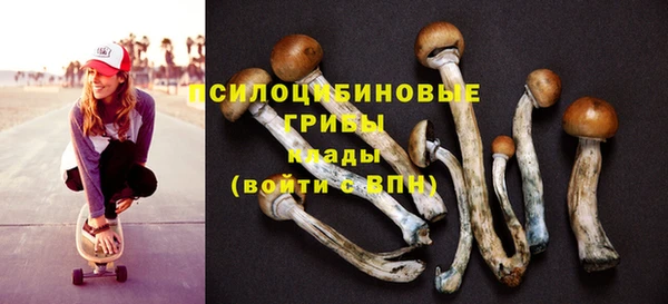 метадон Алексеевка