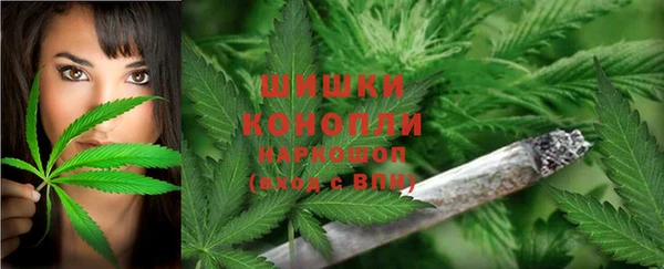 прущий лед Арсеньев