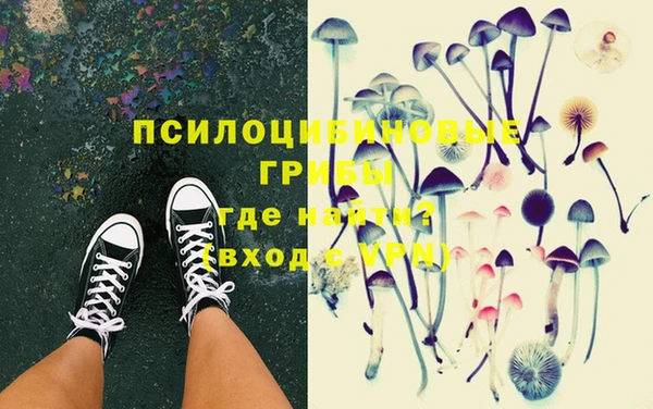 амф Алексин