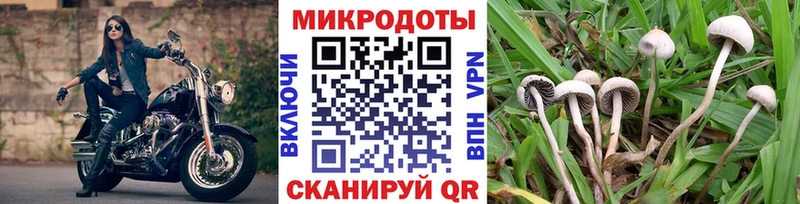 Псилоцибиновые грибы Magic Shrooms  Купить  Туймазы 